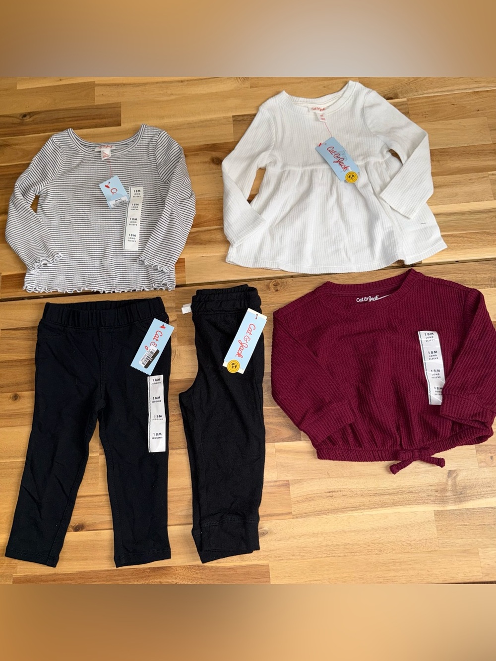 NWT Baby girl clothes bundle 18M